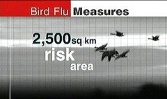 Bird Flu 2006