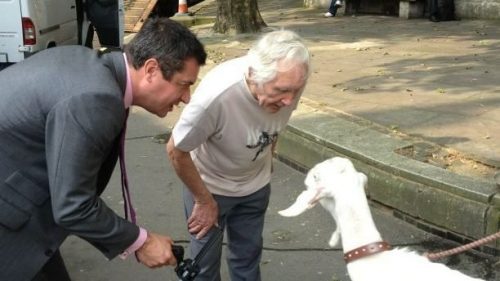 Niall Paterson interviews a goat outside the Leveson Inquiry