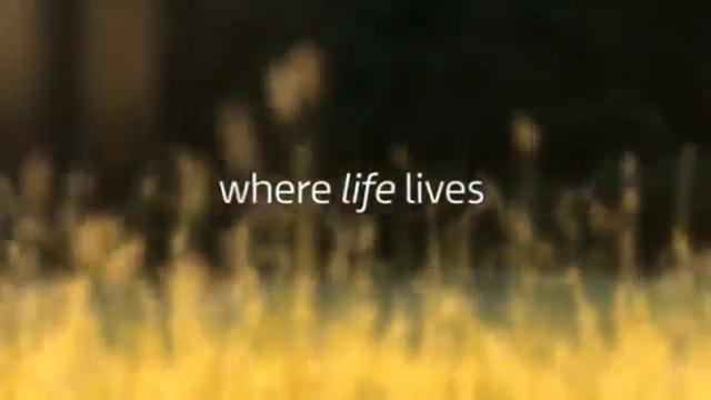ITV Promo: Where Life Lives