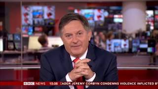 Simon McCoy shows enthusiasm over surfing dogs